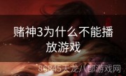 赌神3为什么不能播放游戏