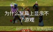 为什么屏幕上显示不了游戏