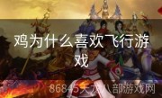 鸡为什么喜欢飞行游戏