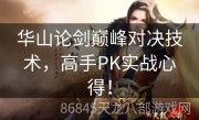 华山论剑巅峰对决技术，高手PK实战心得！