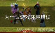 为什么游戏环境错误