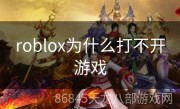 roblox为什么打不开游戏