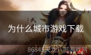 为什么城市游戏下载