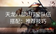 天龙八部sf打宝队伍搭配：推荐技巧