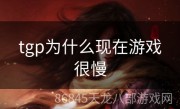 tgp为什么现在游戏很慢