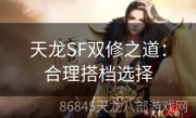 天龙SF双修之道：合理搭档选择