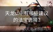 天龙sf中有哪些建议的法宝选择？