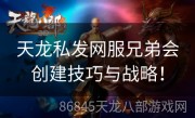 天龙私发网服兄弟会创建技巧与战略！