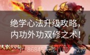 绝学心法升级攻略，内功外功双修之术！