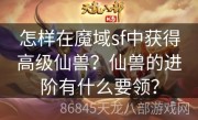 怎样在魔域sf中获得高级仙兽？仙兽的进阶有什么要领？