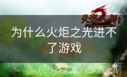 为什么火炬之光进不了游戏