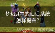 梦幻sf中的仙侣系统怎样提升？