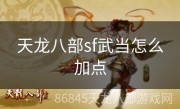 天龙八部sf武当怎么加点