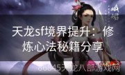 天龙sf境界提升：修炼心法秘籍分享