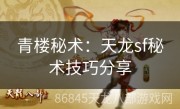 青楼秘术：天龙sf秘术技巧分享