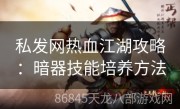 私发网热血江湖攻略：暗器技能培养方法