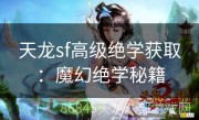 天龙sf高级绝学获取：魔幻绝学秘籍