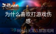 为什么喜欢打游戏伤感