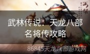 武林传说：天龙八部名将传攻略