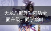天龙八部外功内功全面升级，武学巅峰！