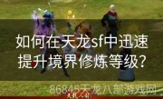 如何在天龙sf中迅速提升境界修炼等级？