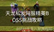 天龙私发网服精英BOSS挑战攻略