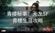 青楼秘事：天龙SF青楼生涯攻略