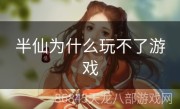 半仙为什么玩不了游戏