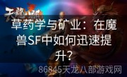 草药学与矿业：在魔兽SF中如何迅速提升？