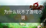 为什么玩不了游戏小说